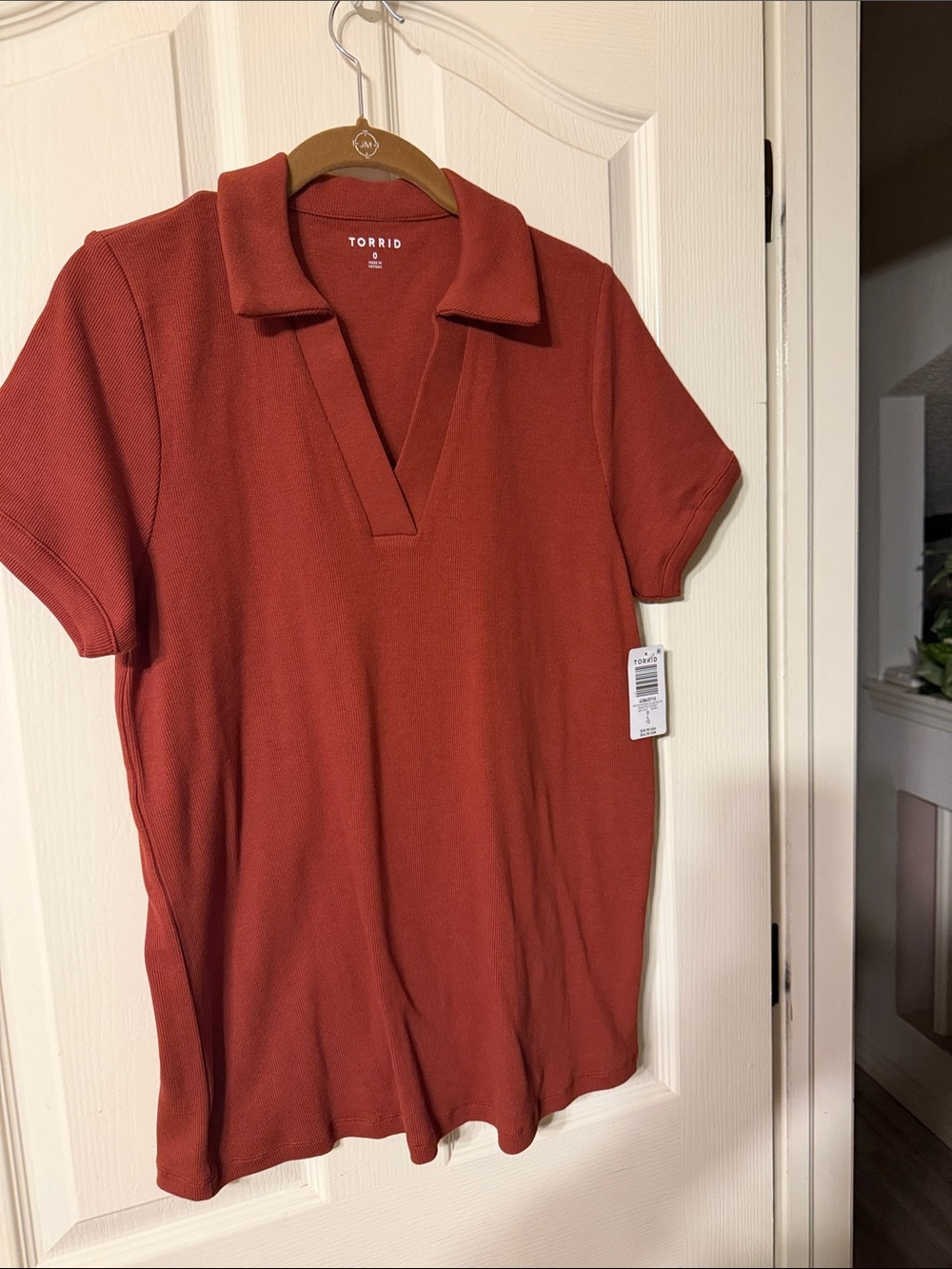 Torrid Rust Polo-Style Knit Top